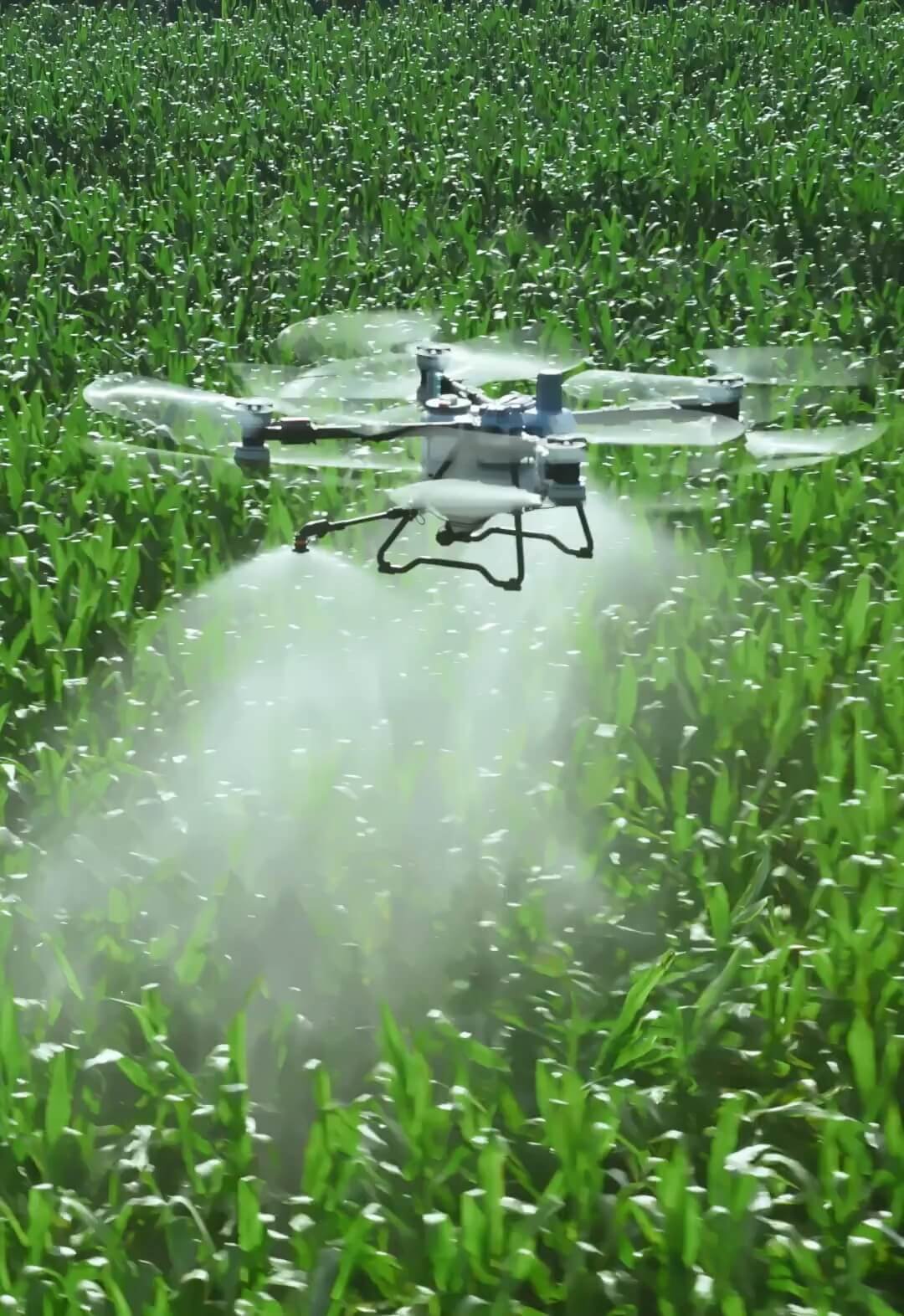 DJI Agras T100 agricultural spraying drone