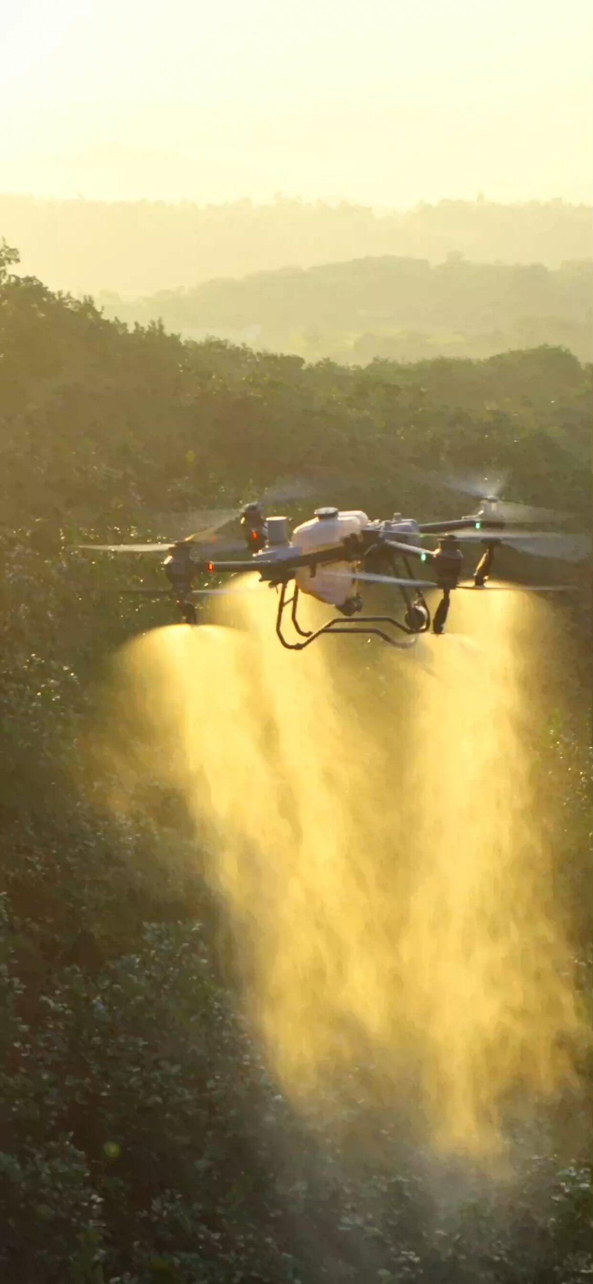 DJI Agras T50 agricultural spraying drone